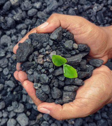 Ecoal vs Newheat: Best Smokeless Fuel for Your Fireplace