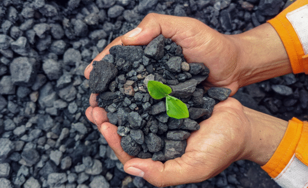 Ecoal vs Newheat: Best Smokeless Fuel for Your Fireplace