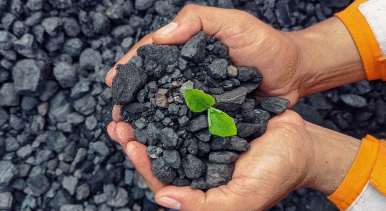 Ecoal vs Newheat: Best Smokeless Fuel for Your Fireplace